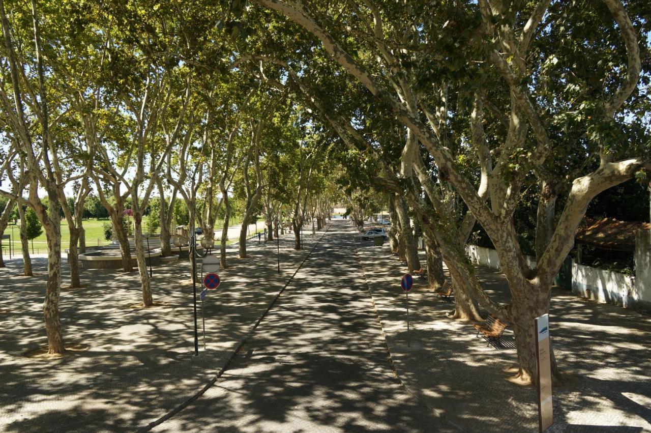 וילה נובה דה ברקיניה Barquinha Nature House מראה חיצוני תמונה